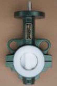 PTFE butterfly valve (stainless steel body)