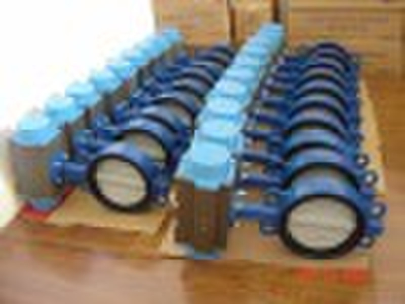 Lug type butterfly valve