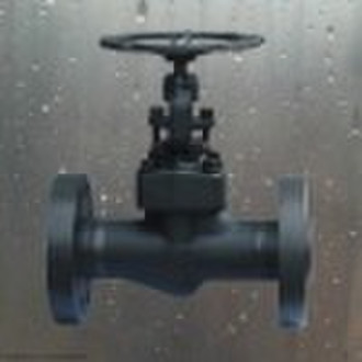 Forged Globe Valve