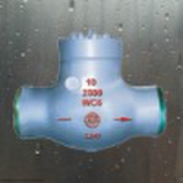 Power Station Check Valve