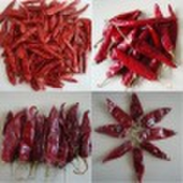 hot sell 2010 new crop chili