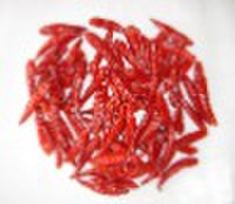 chaotian chilli