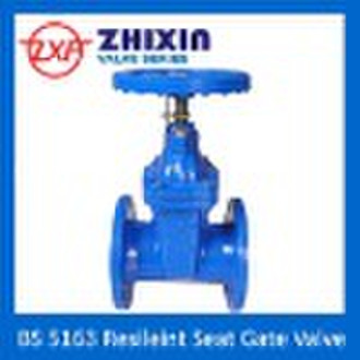 BS 5163 Gate Valve