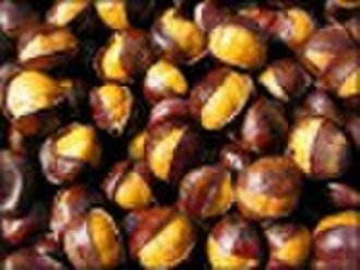 CHESTNUT