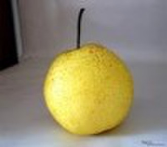 fengshui Pear