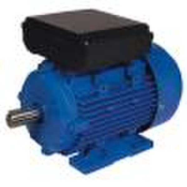 Single Phase Induction Motor