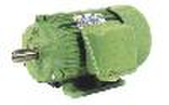 three-phase induction motor