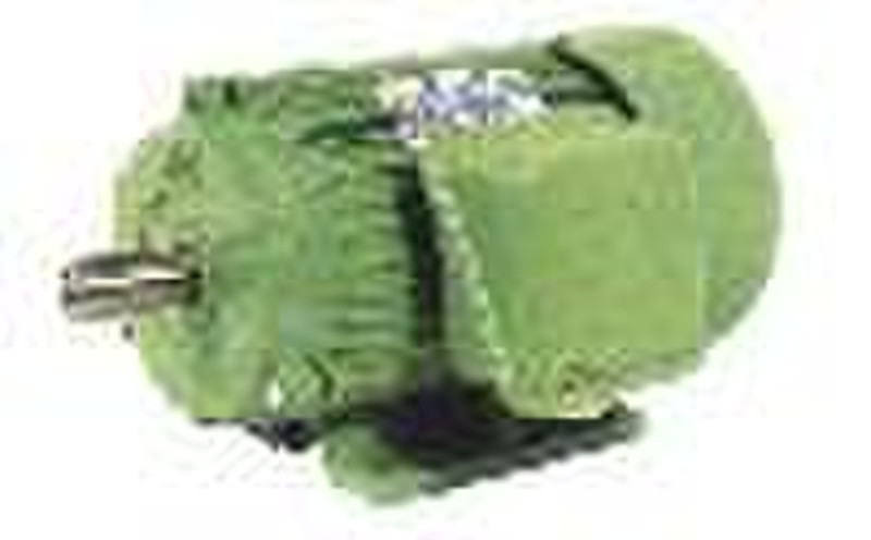 three-phase induction motor