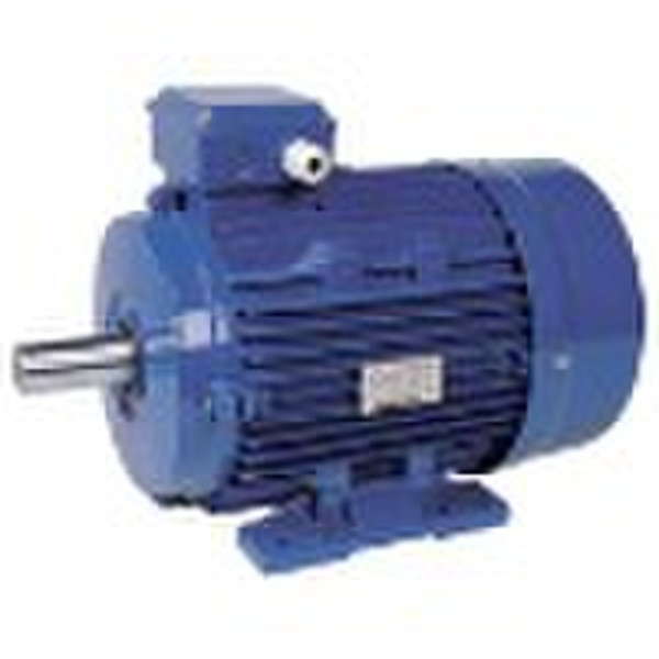 electric motor