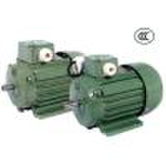 Induction Motor