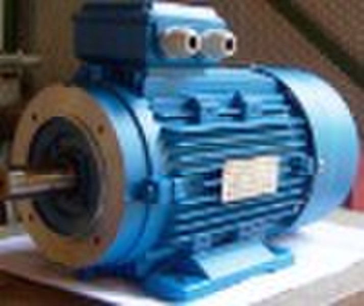 MS series aluminum housing three-phase induction m