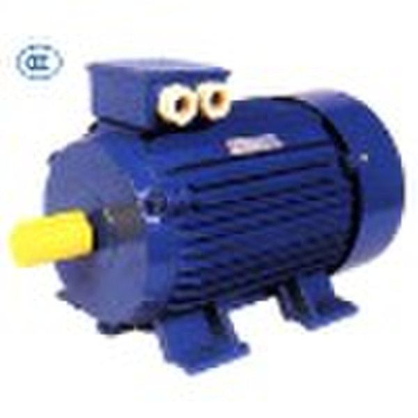 3 phase electric motor