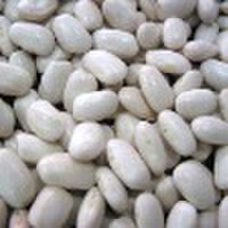 White Kidney Beans