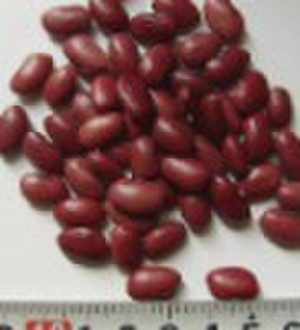 red kidney bean