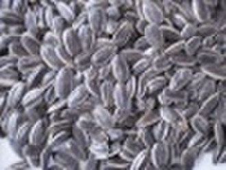 sunflower seeds