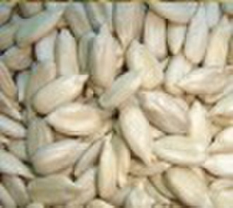 sunflower seeds kernels