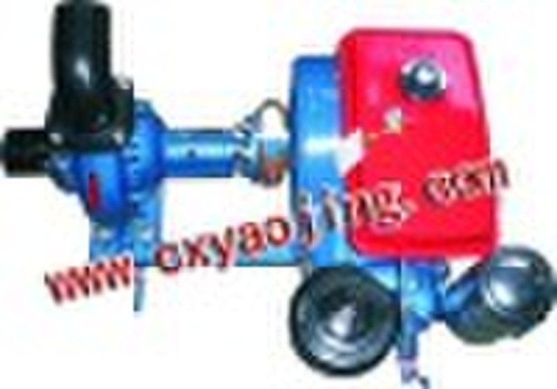 Diesel Engine with pumpset