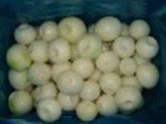 Fresh Peeled Onions
