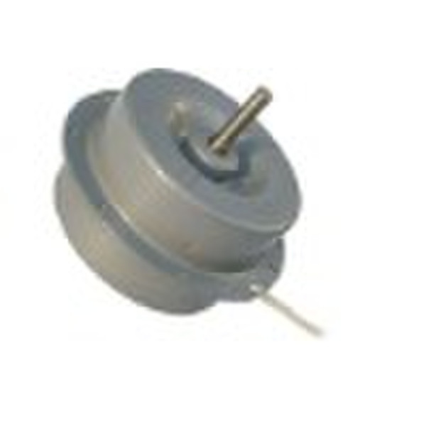 AC Fan Motor