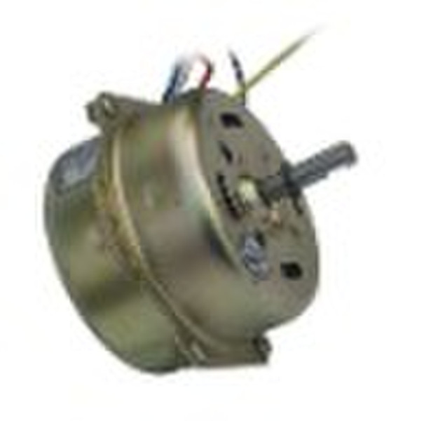 Electric Motor
