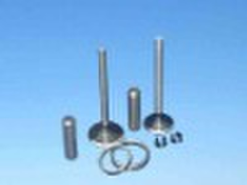 valve assembly series