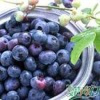 blueberries