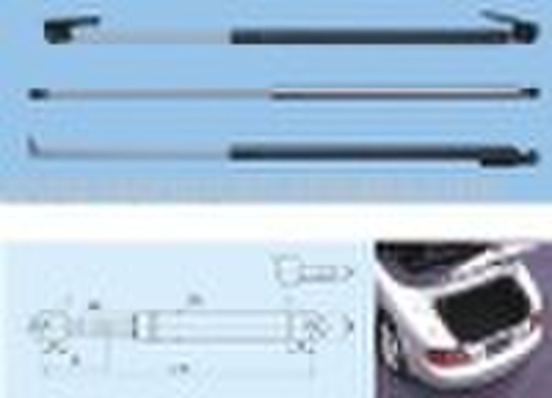 Auto gas strut