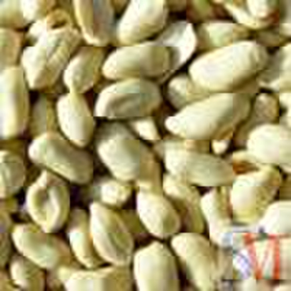 Long Type Blanched Peanut Kernel