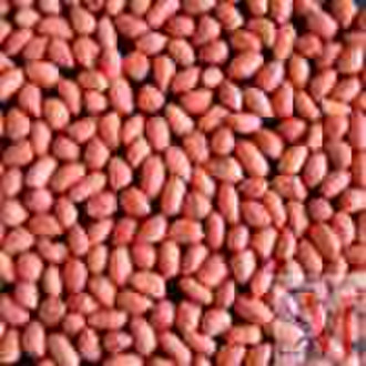 Rote Haut Peanut Kernel