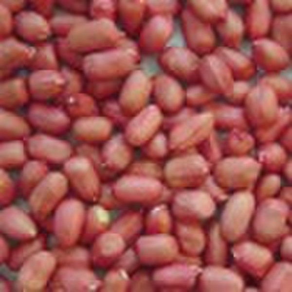 Red Skin Peanut Kernel