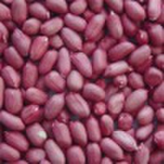 Rote Haut Peanut Kernel