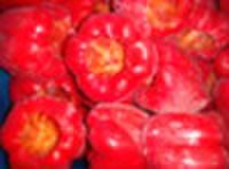 sell frozen red peppers