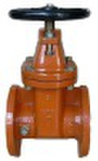 Resilient Seated Gate Valve