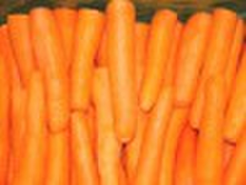 Chinese Fresh Carrot