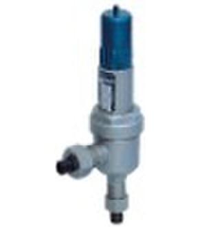 Socket Weld Type Pressure Safety Valve