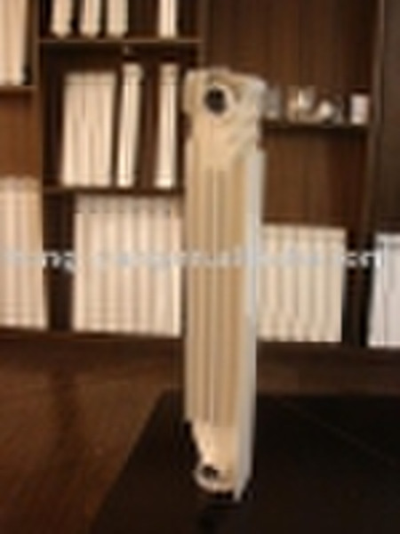 Die Casting Aluminium Radiator