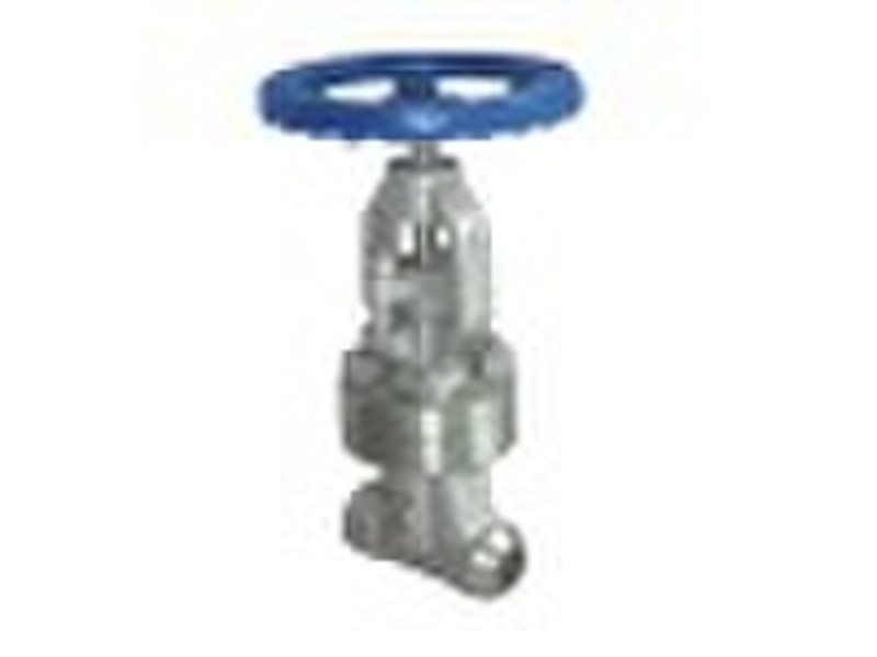 Schweiß Globe Valve - Schweiß