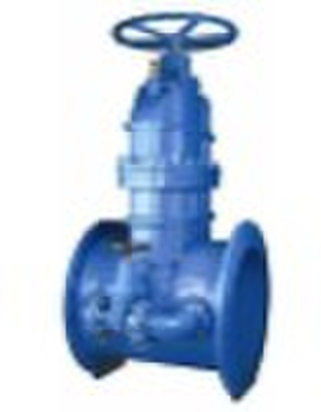 F5 gate valve with bypass valve