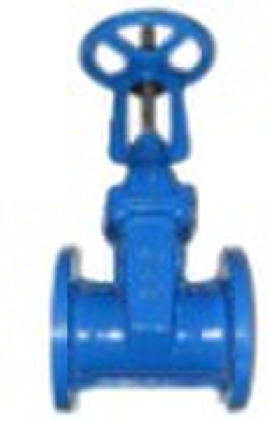 Rising Stem Gate Valve