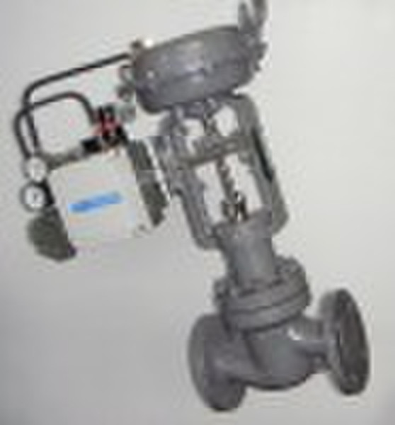 100S Single Seated Cage Guided Control Valve(With