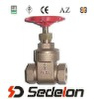 Bronze globe valve