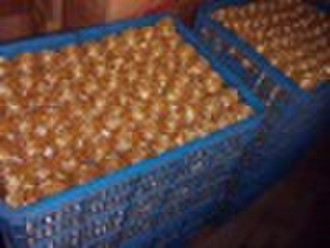 copper plating scourers