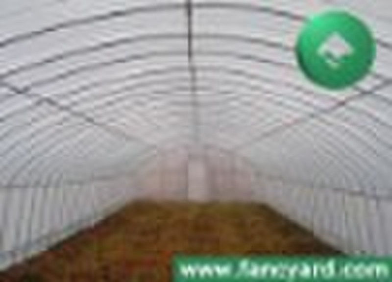 tunnel greenhouse