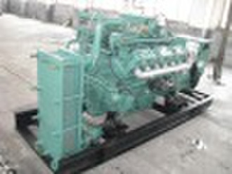 Natural or Bio gas generator with good price(10Kw