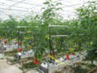 Tunnel film greenhouse