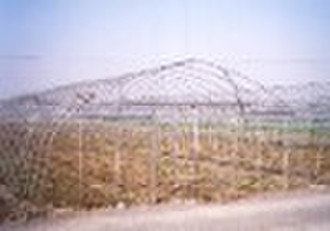 polytunnel