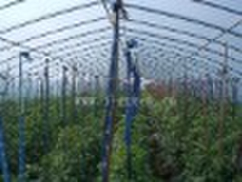 single fiber glass greenhouse