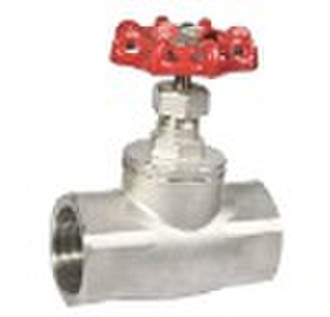 american type female globe valve