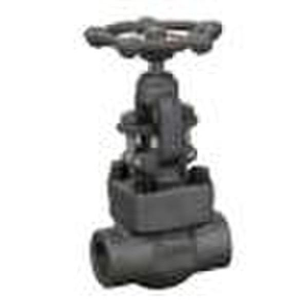 Forged Steel Globe Valve