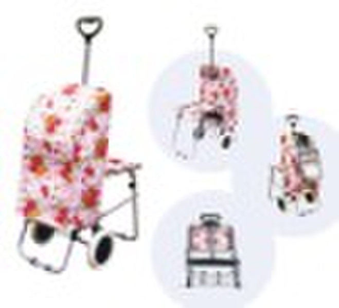 shopping trolley with coller bag